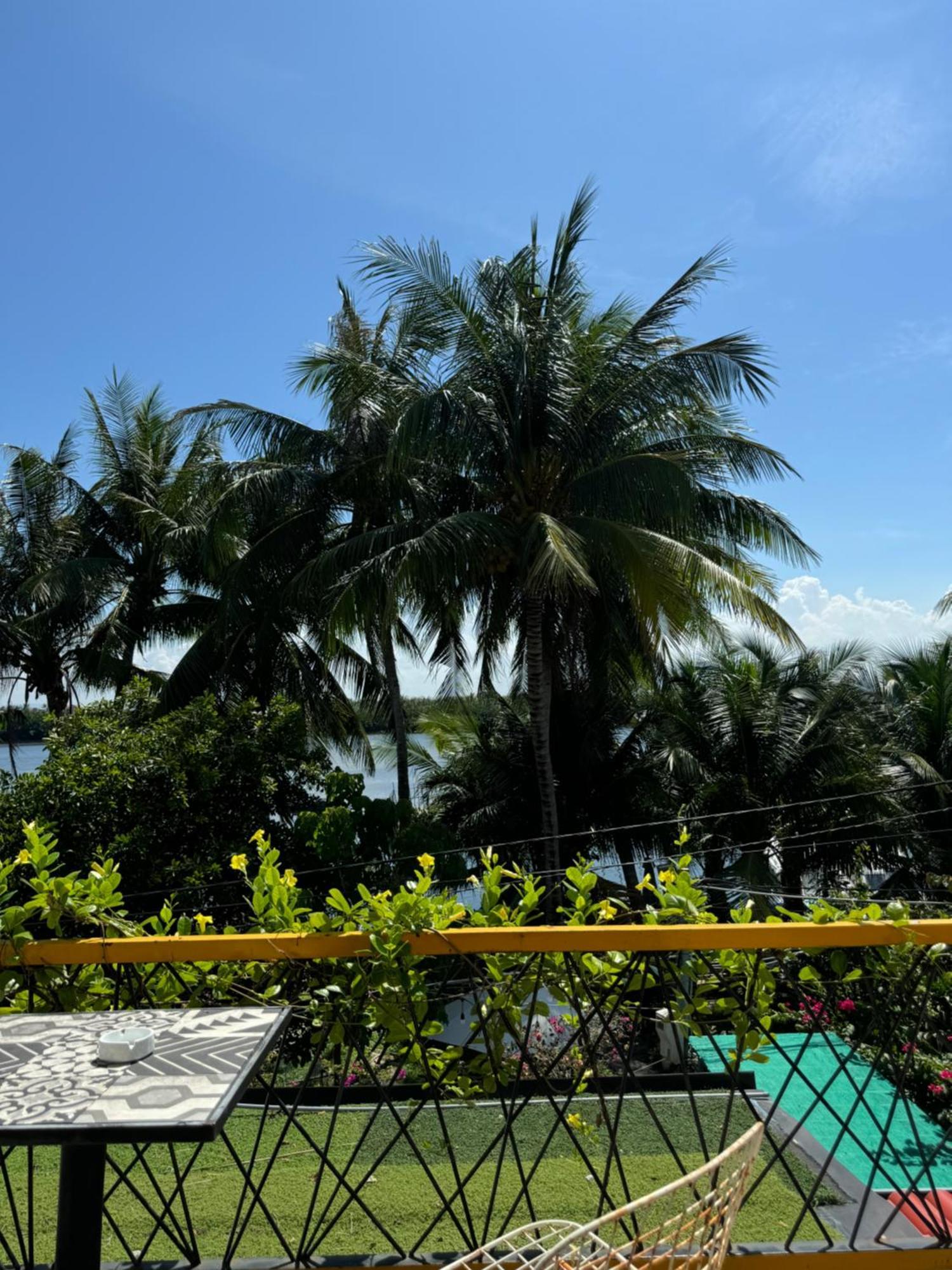 Coral Riverside Homestay & Hostel ホイアン エクステリア 写真